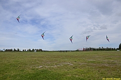 Venice kite festival_0560